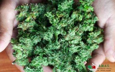 El consumo de drogas se dispara
